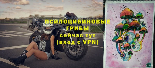 spice Алексин