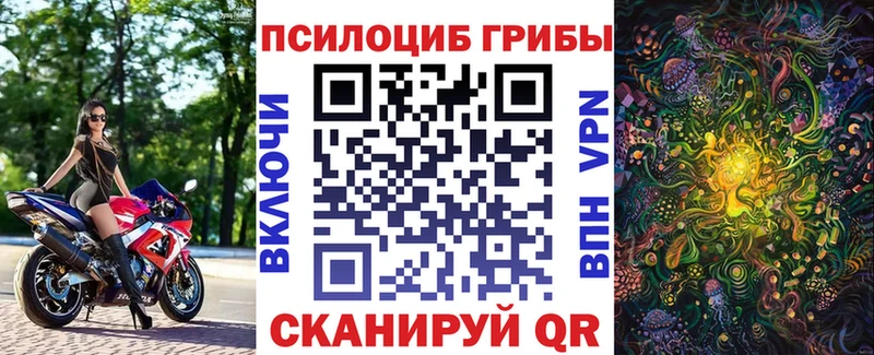 Галлюциногенные грибы Cubensis  купить закладку  Йошкар-Ола 